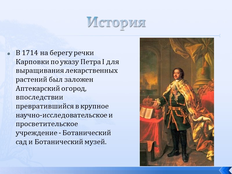 История В 1714 на берегу речки Карповки по указу Петра I для выращивания лекарственных
